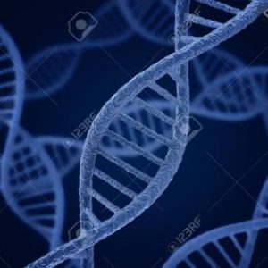 BIOLOGY S6 COMBINATION Course